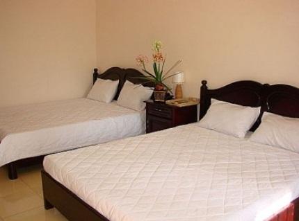 Sen Vang Guest House Nha Trang Room photo